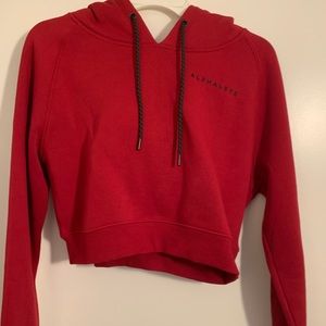 Alphalete Crop Hoodie
